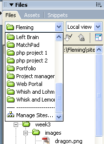 Site Panel Pull Down Menu